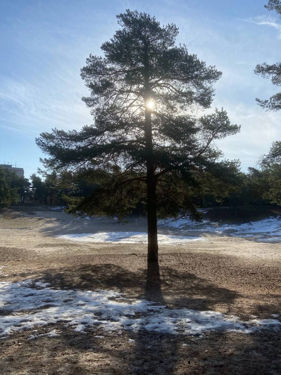 Дом Шале камень/дерево в Сосновом Бору