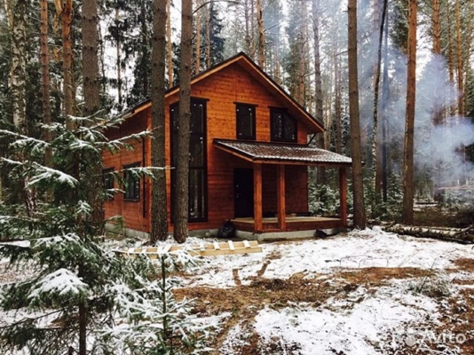 Элитный дом в лесу Модерн