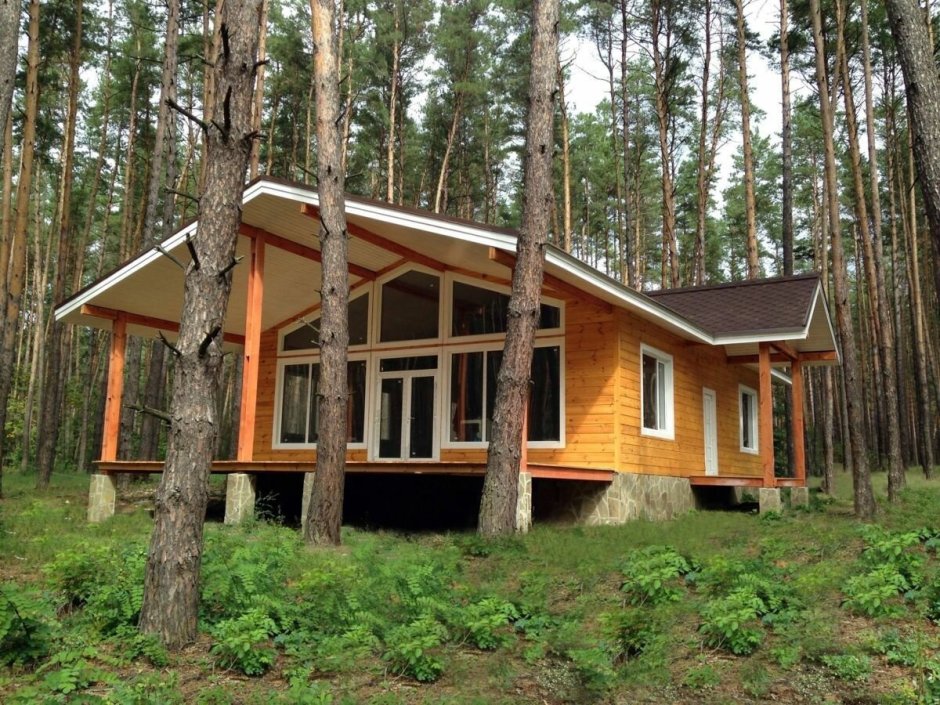 Поселок сосны Николина гора