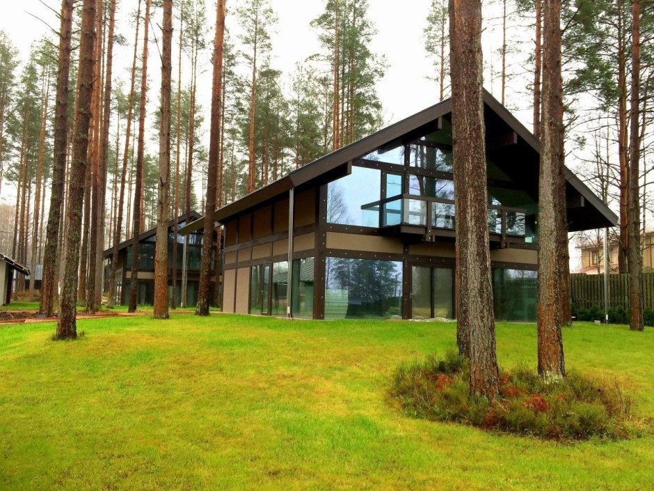 Гостиница Сосновый лес Литва