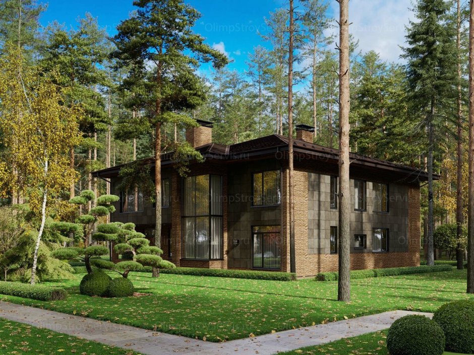 Дом в Сосновом лесу