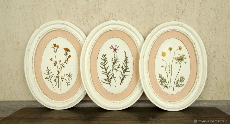 Оформление гербария Прованс тарелка