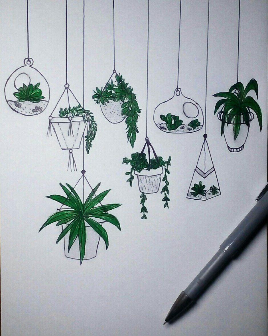 Идеи для рисунков растения