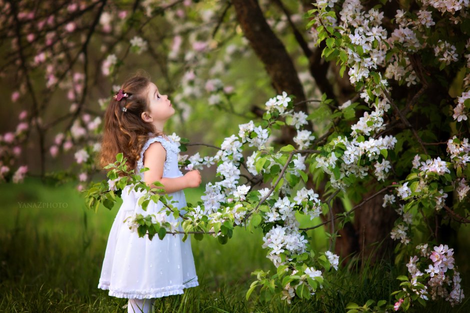Дети в цветущем яблоневом саду