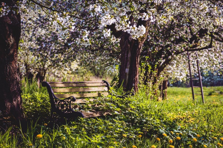 Старинная усадьба Яблоневый сад