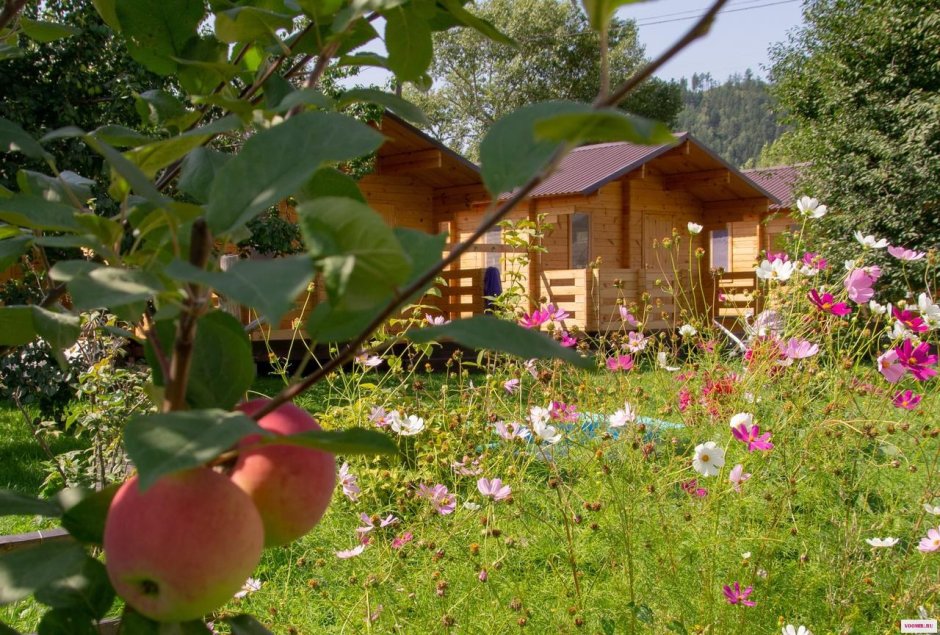Деревенский домик с яблоневым садом