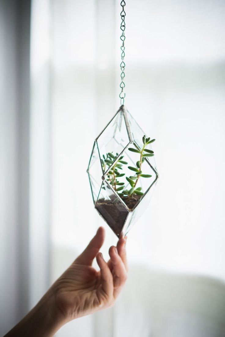 Флорариум подвесной