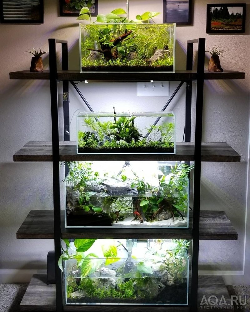 Кокосовый субстрат эублефар