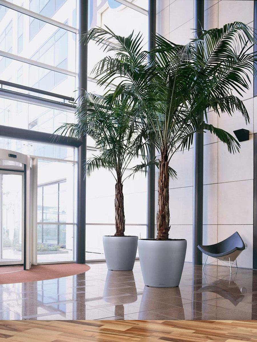 Кашпо Lechuza "Classico" 70