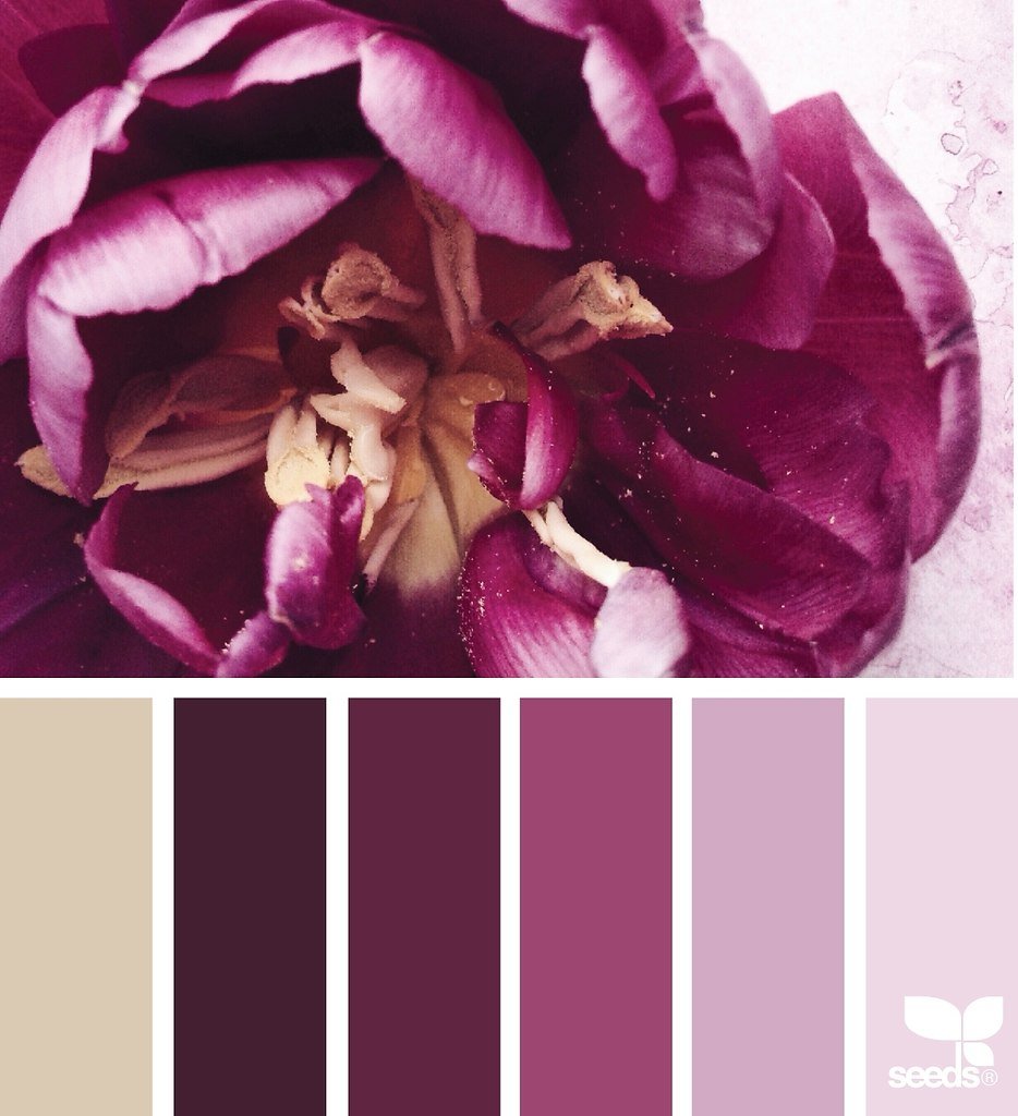 Маджента цвет сочетания Палитры