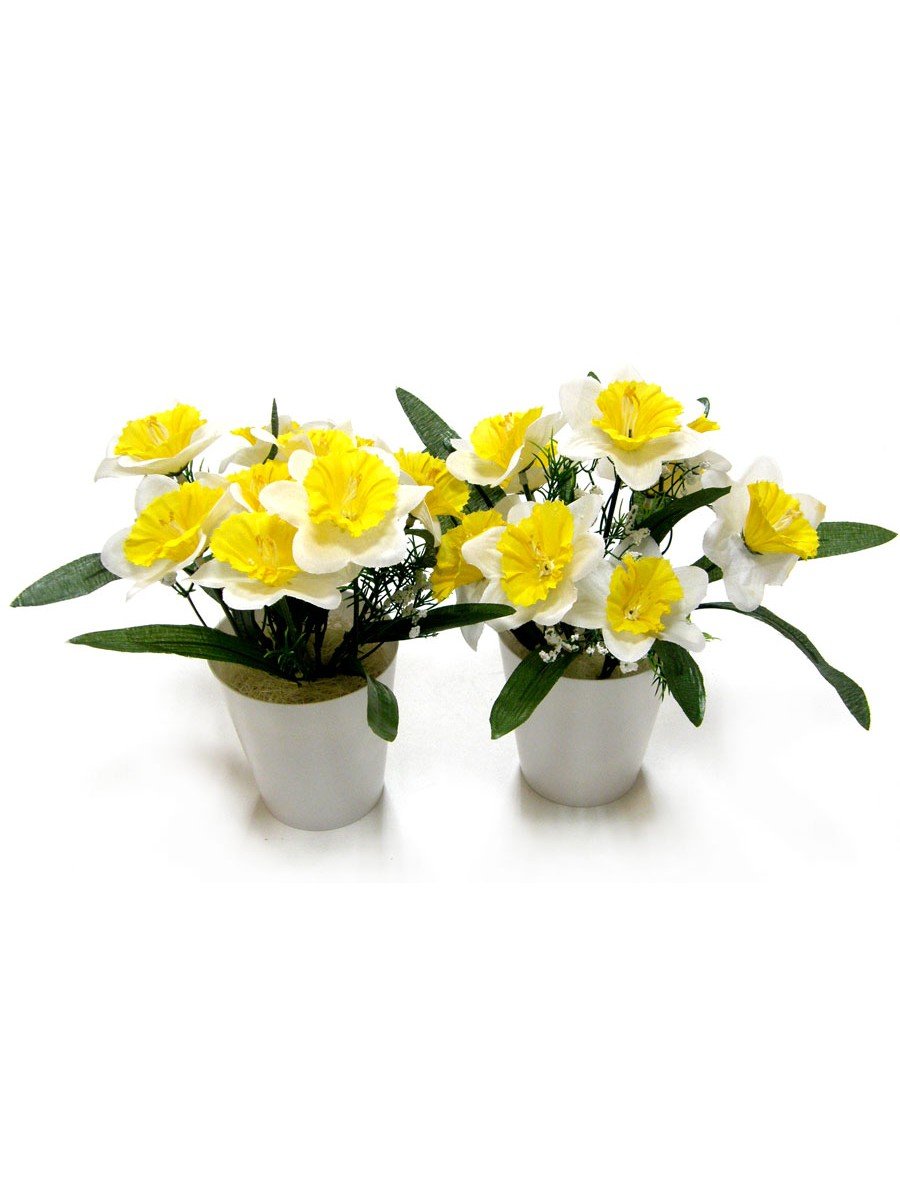 С 8 марта нарциссы