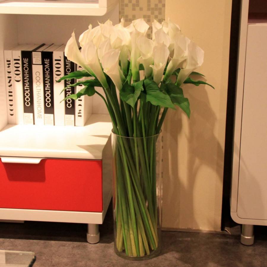 Lechuza puro 50 белый