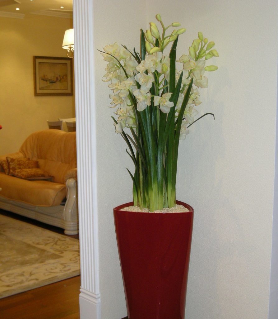 Кашпо Low Green