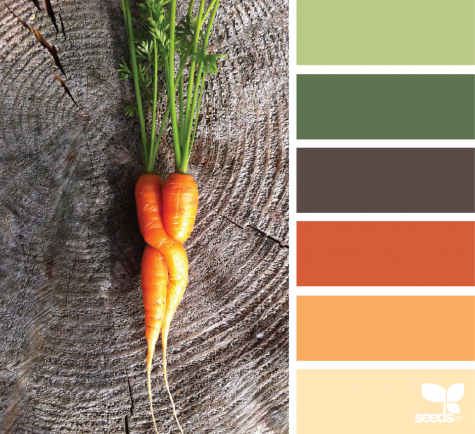 Палитра Seeds терракотовый