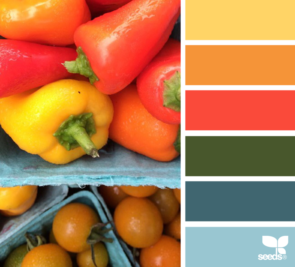 Цветовая палитра овощи