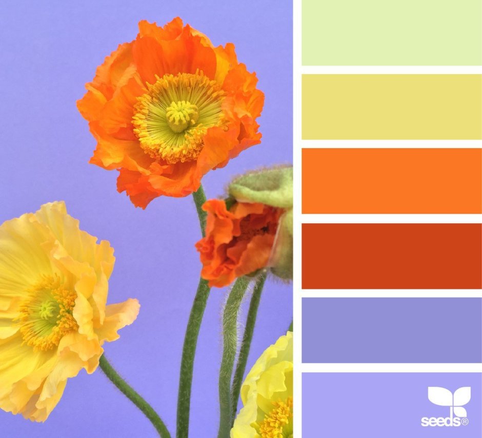 Цветовые сочетания