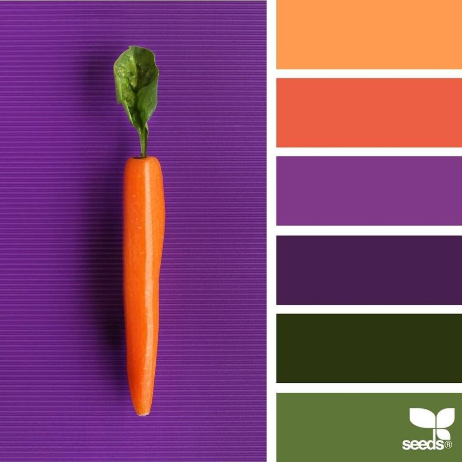 Палитра Seeds терракотовый