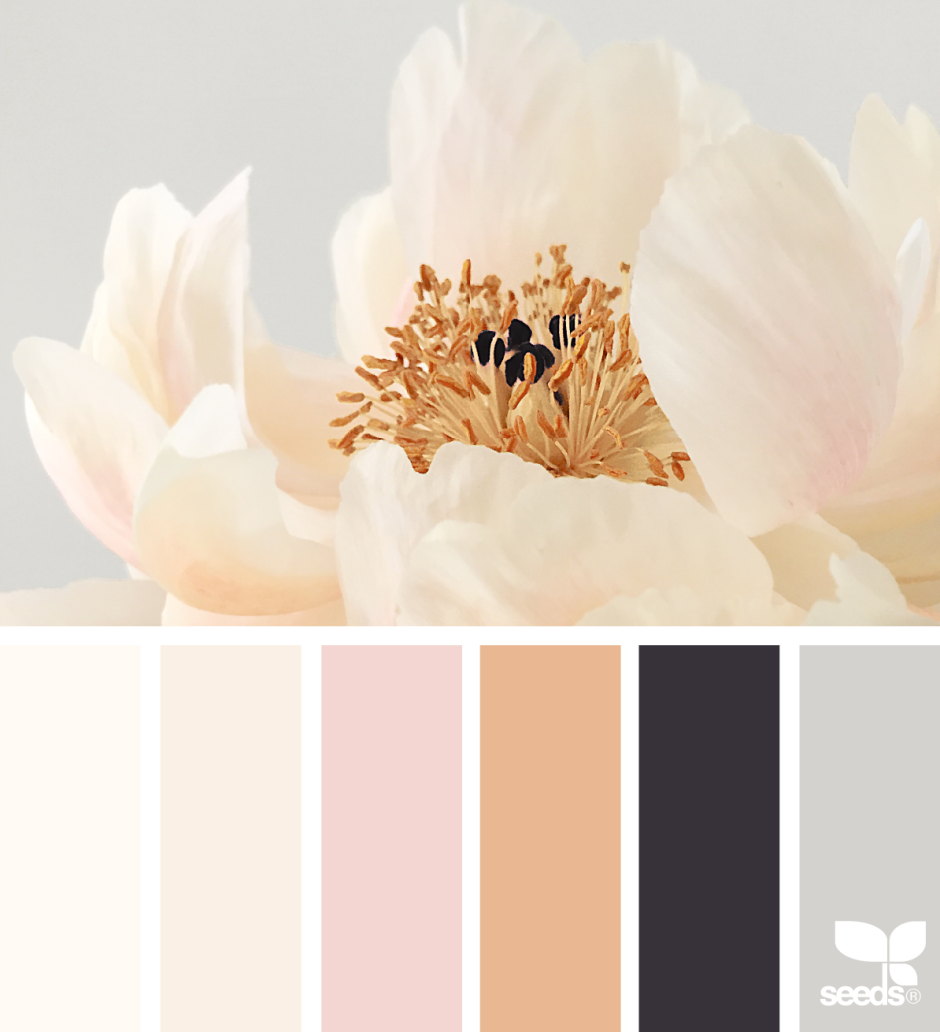 Бежевая палитра