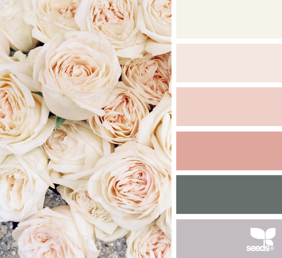 Кремовый цвет