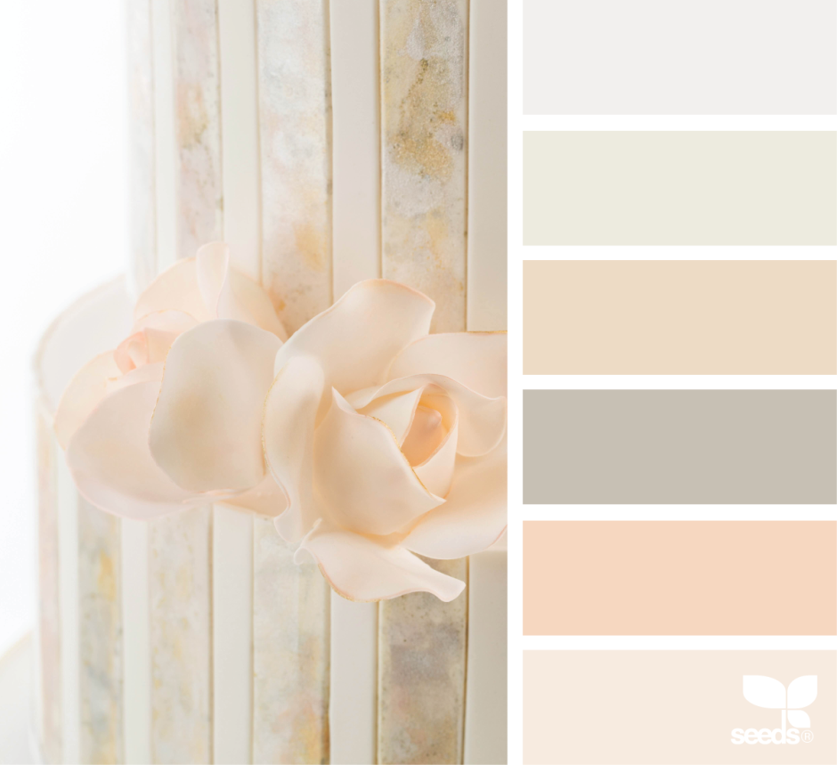 Колор баланс Палитры пудровый