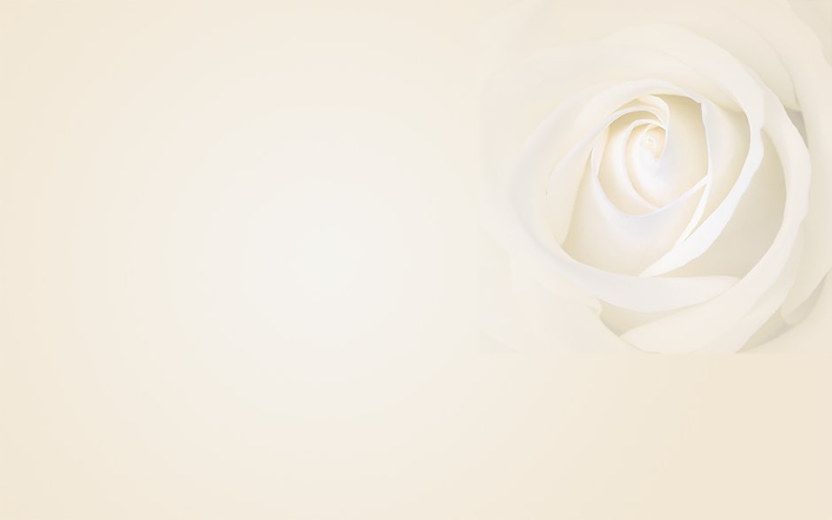 Бело бежевый фон