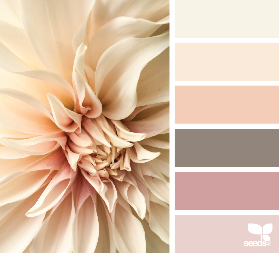 Палитра бежевых оттенков РГБ