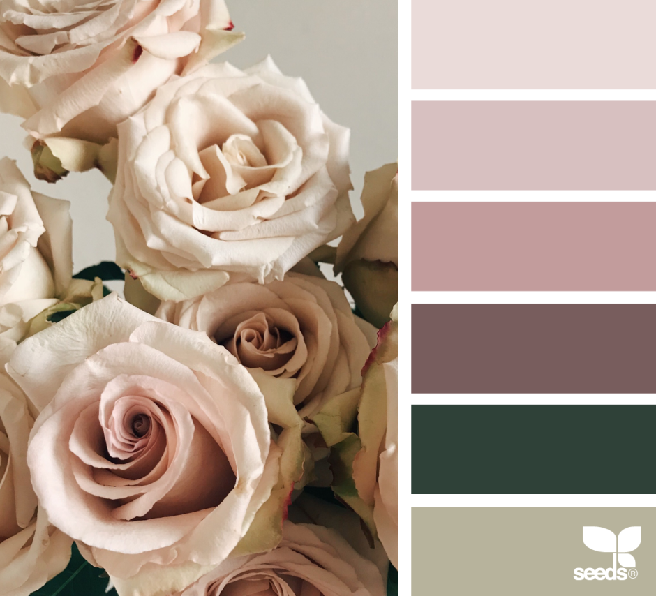 Палитра цветов коричневый бежевый