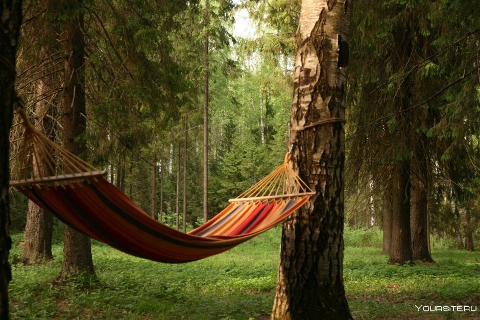 Гамак для дачи