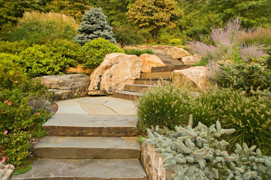 Каменистый сад плитняк