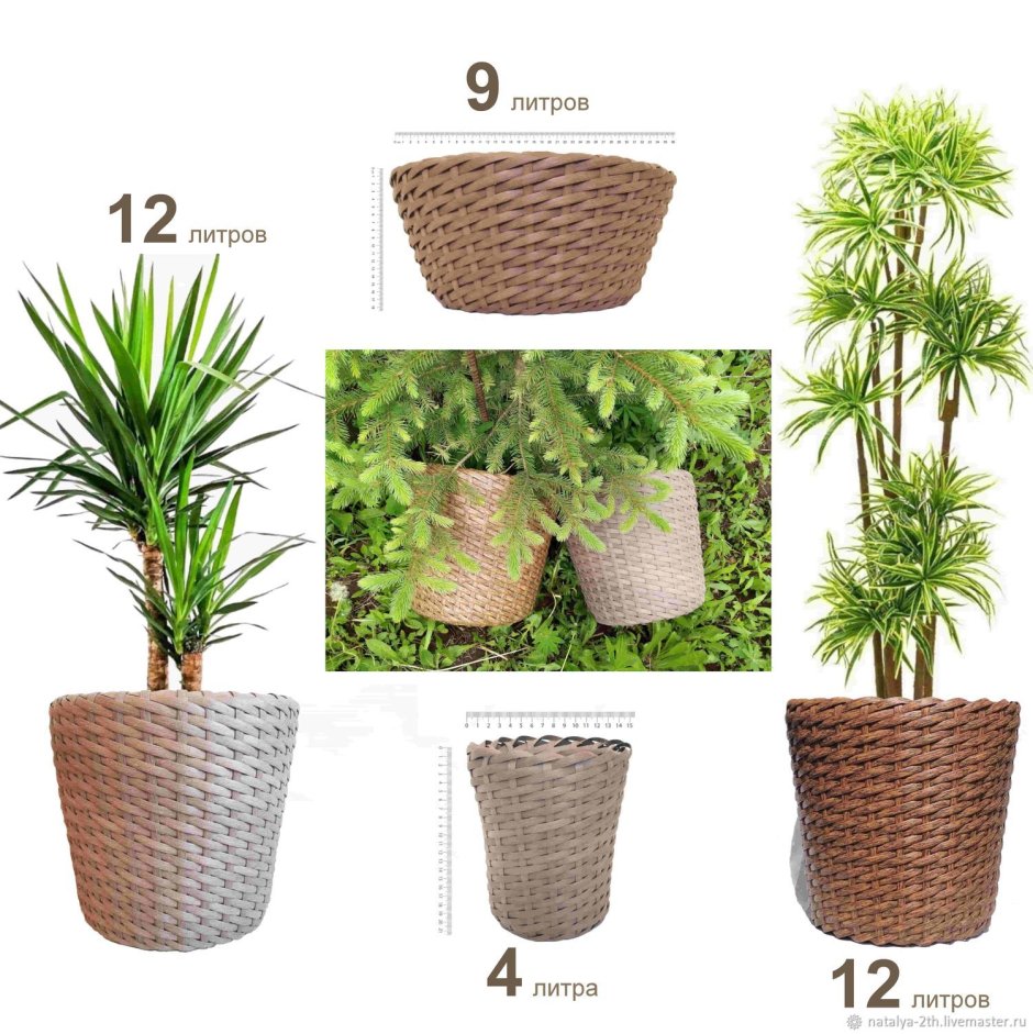 Кашпо 12x12x12см