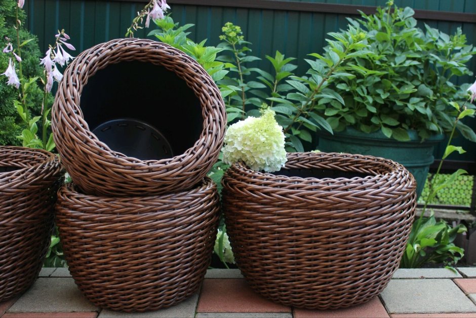 Вазоны из ротанга