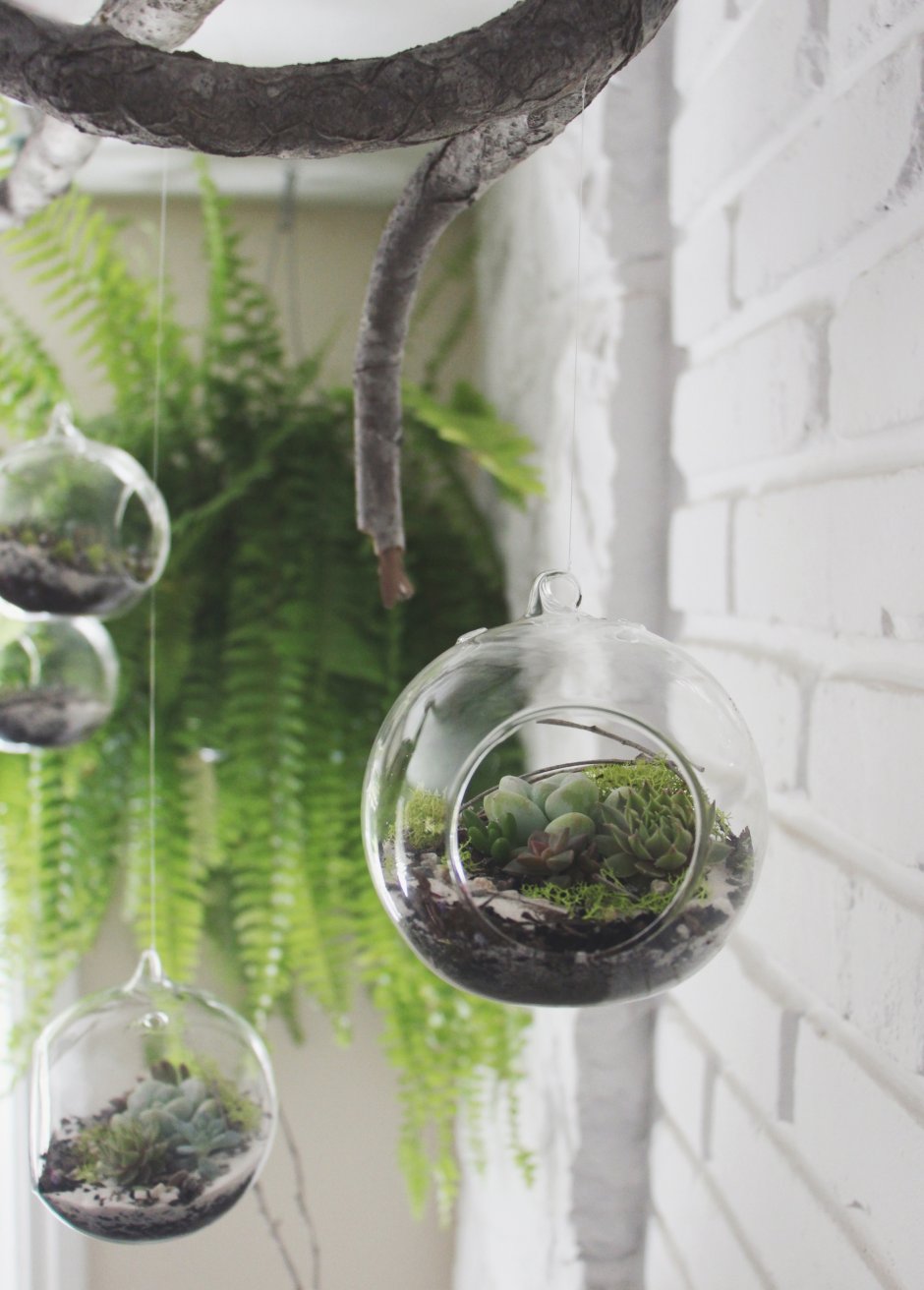Подвесное стеклянное кашпо