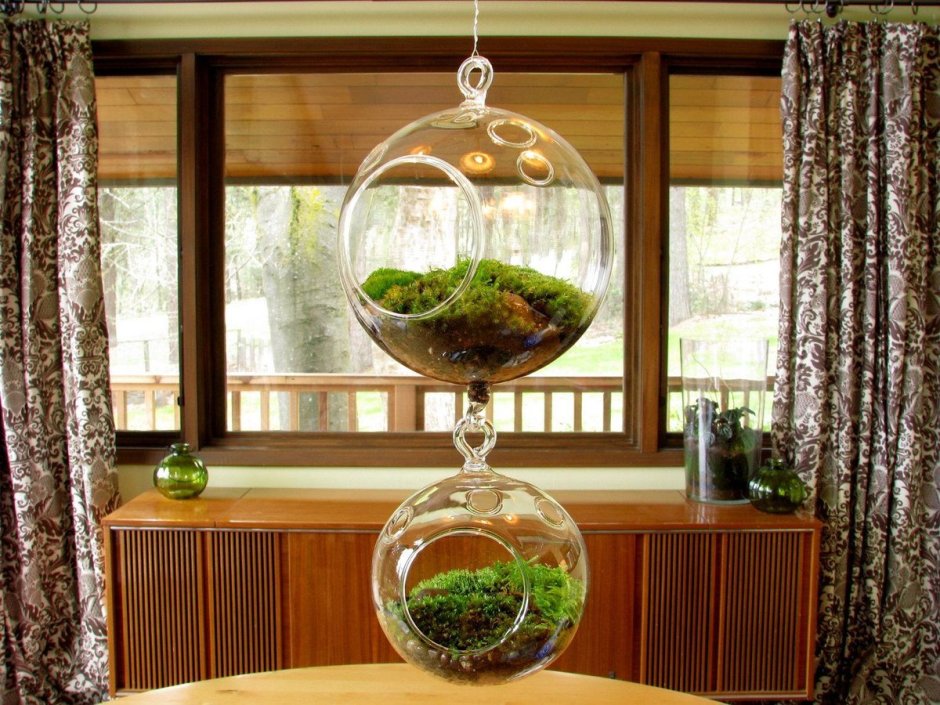 ЭКОДИЗАЙН флорариум