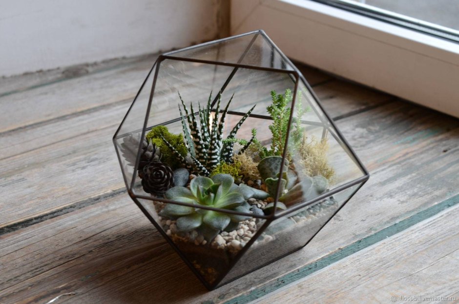 Флорариум с цикламеном