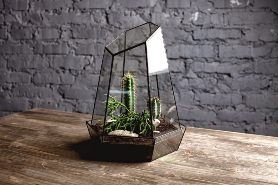 Флорариумы в интерьере