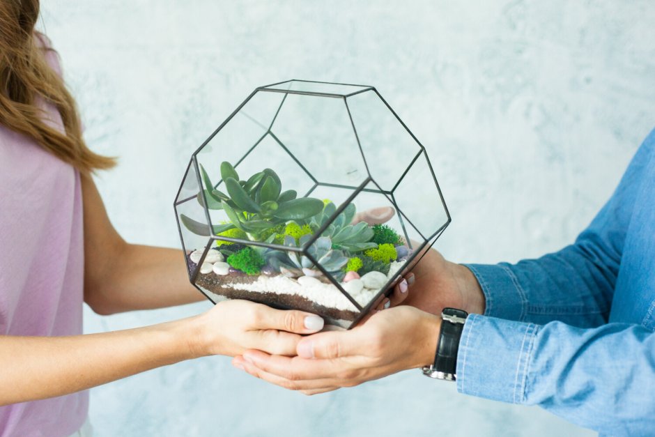 Флорариум октаэдр