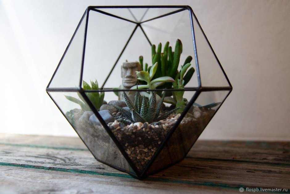 Флорариум кубооктаэдр