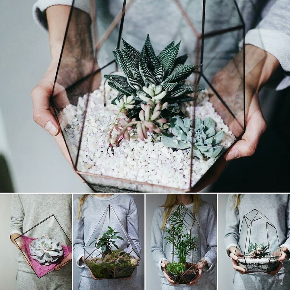 Флорариум в интерьере квартиры