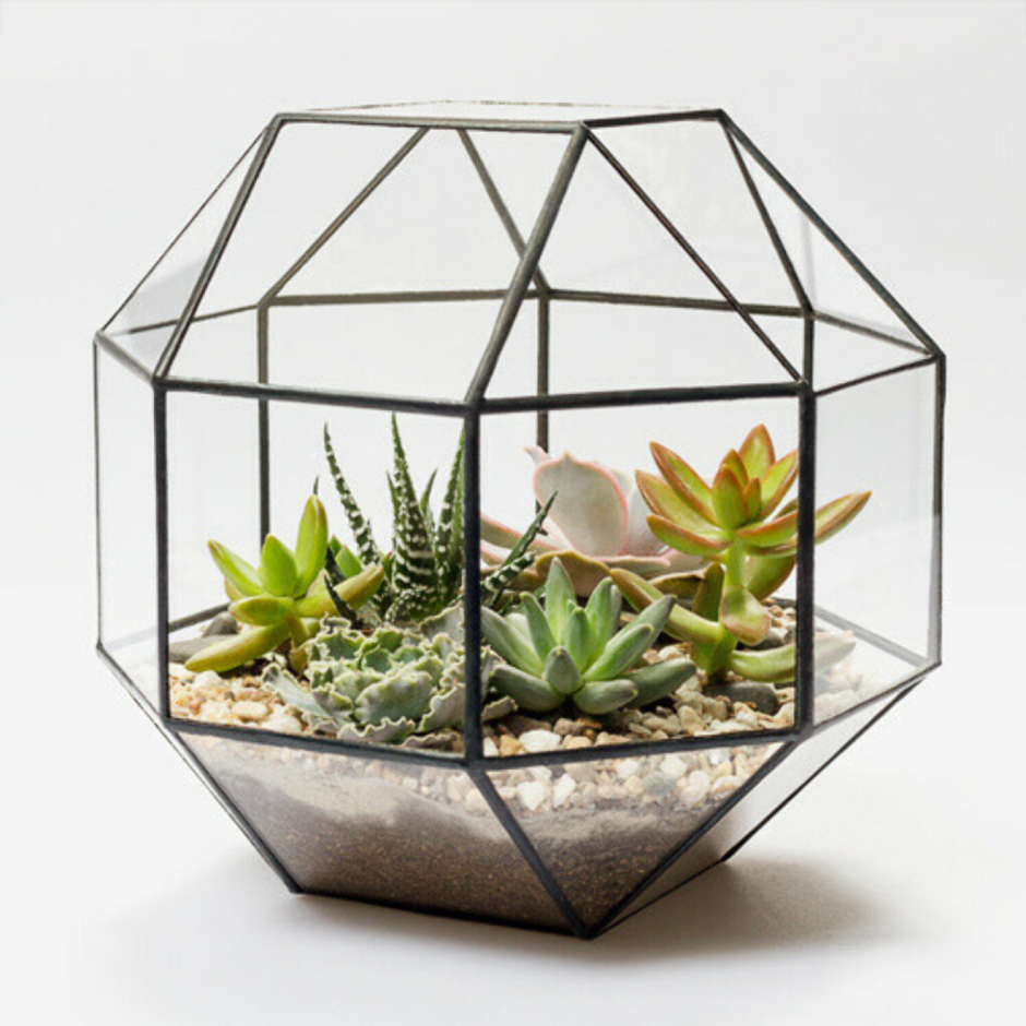 Икосододекаэдр флорариум