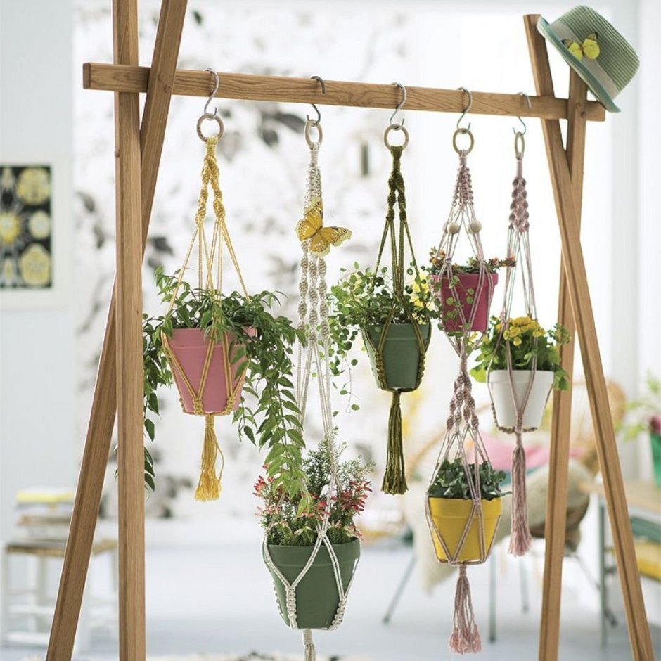 Дерево тара растение