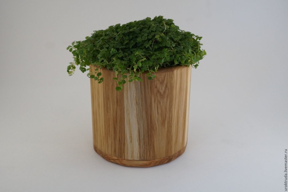 Вазоны из дерева для дачи