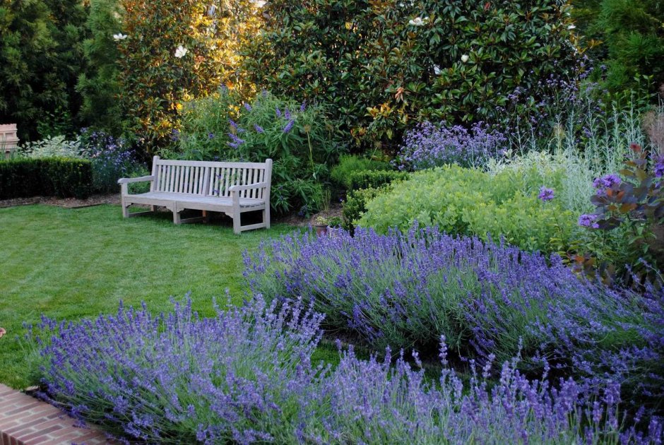 Миксбордер с лавандой и шалфеем
