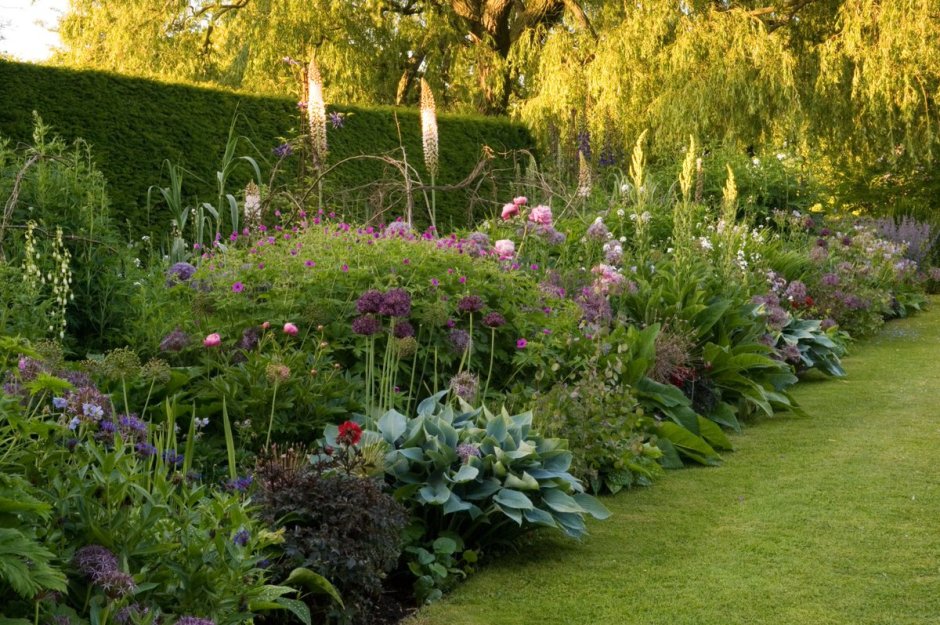 Сады Англии миксбордеры