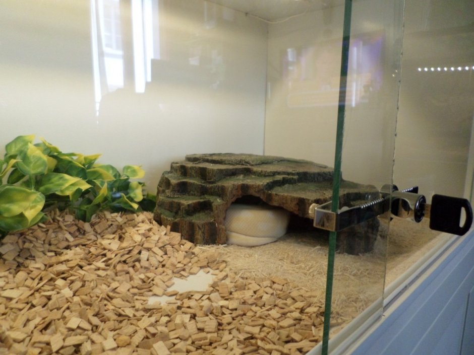 Террариум из МДФ