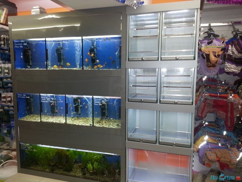 Полки для обуви в магазин