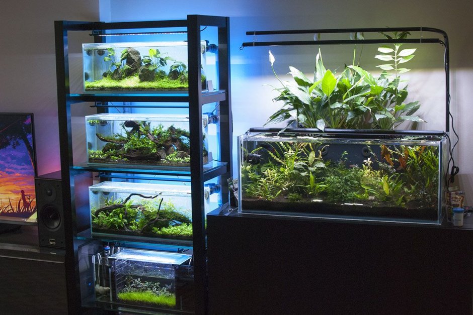 Полки отсеками змейкой