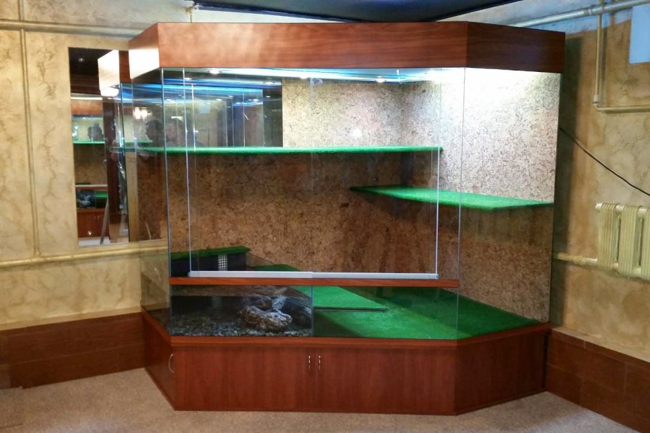 Террариум для маисового Полоза