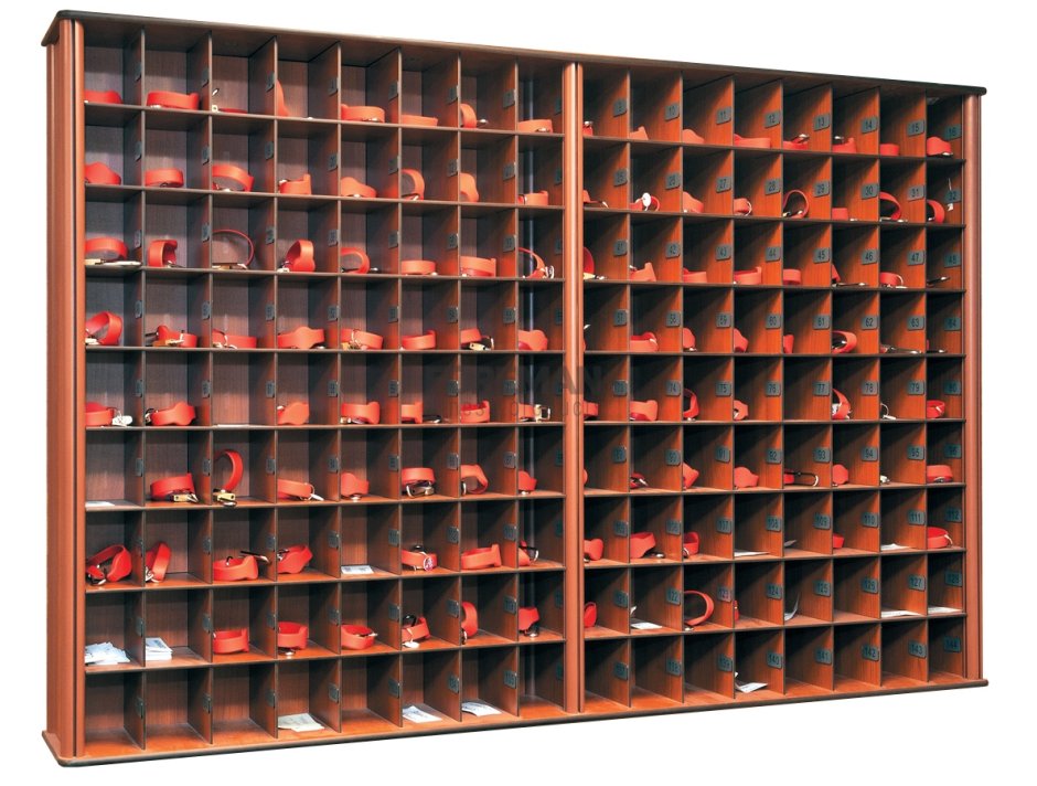 Витрина зоомагазина