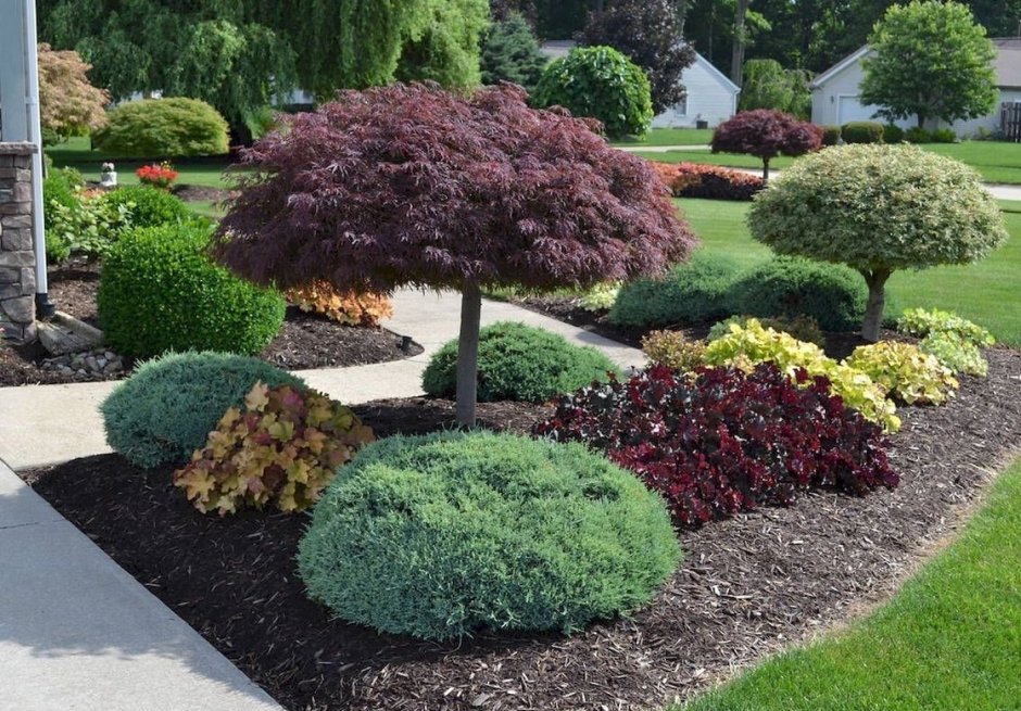 Клумбы с декоративными кустарниками