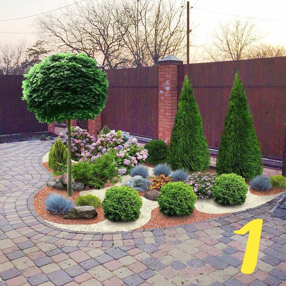 Туя Даника Живая изгородь